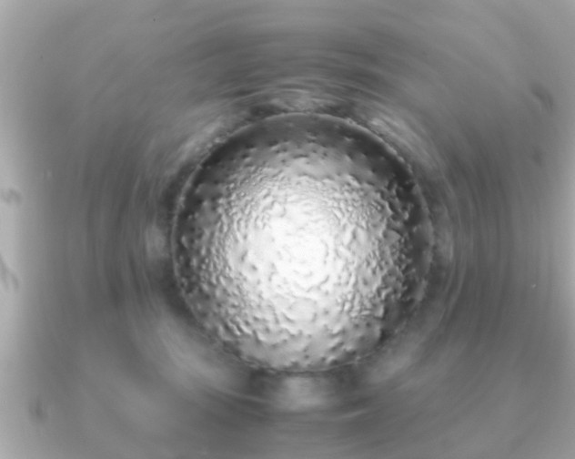 X0000091100371200708131110