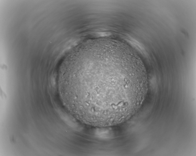 X0000091100373200708131110