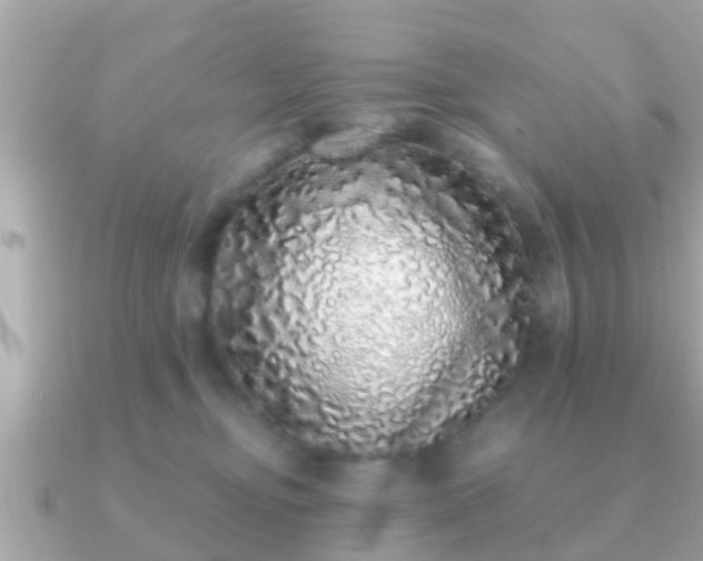 X0000091100374200708131110