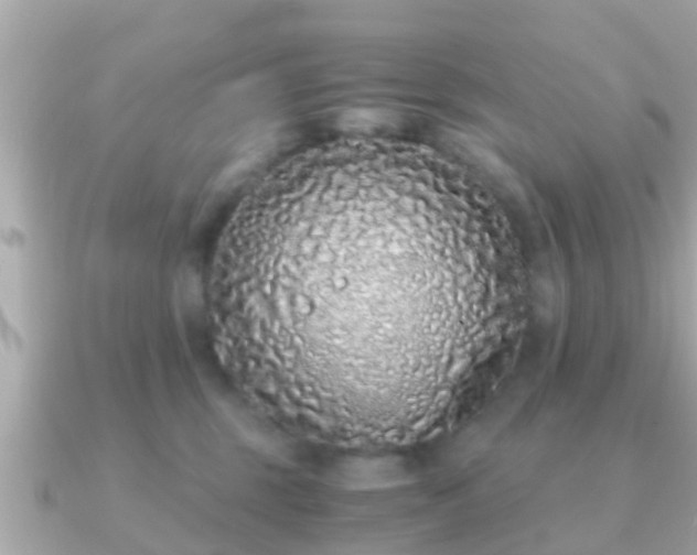 X0000091100375200708131110