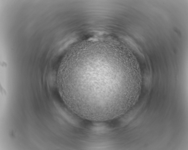 X0000091100376200708131110