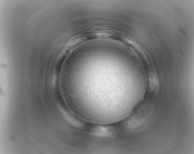 X0000091100379200708131110