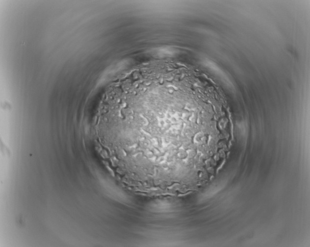 X0000091100381200708131110