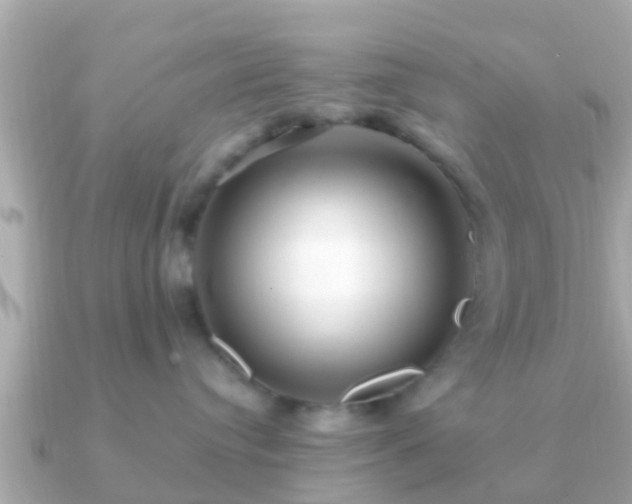 X0000091100384200708131111