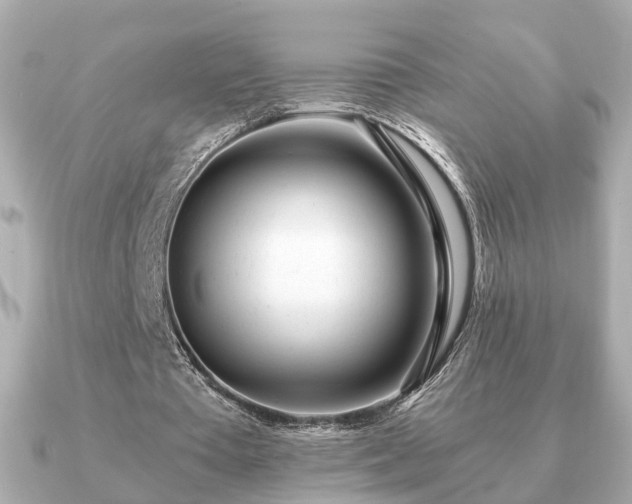 X0000091100385200708131110