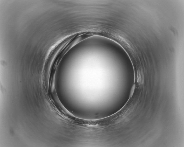 X0000091100388200708131110