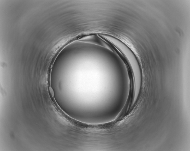 X0000091100389200708131110