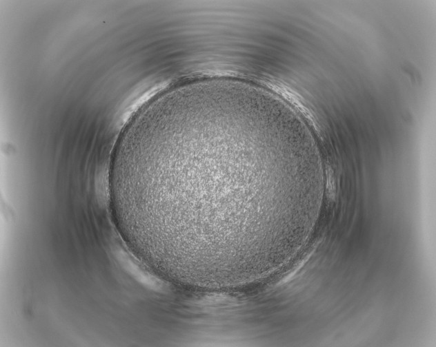 X0000091100390200708131110