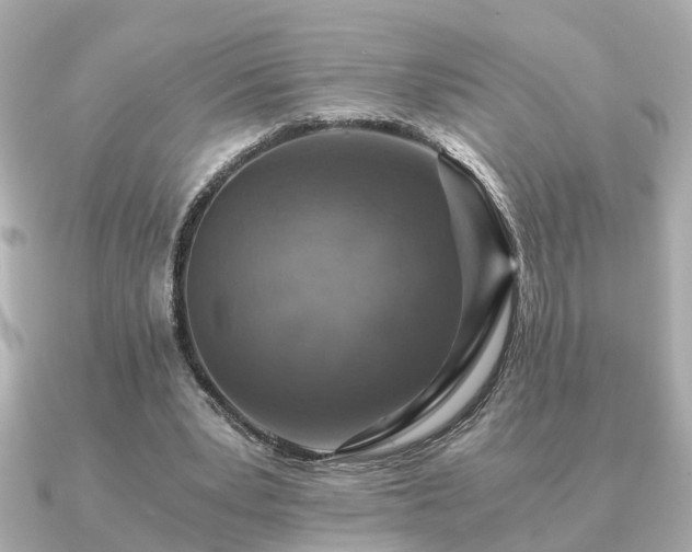 X0000091100391200708131110