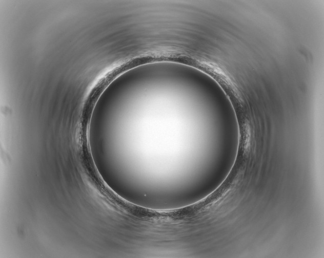 X0000091100392200708131110