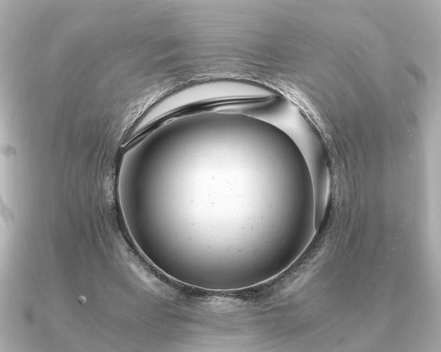 X0000091100393200708131110