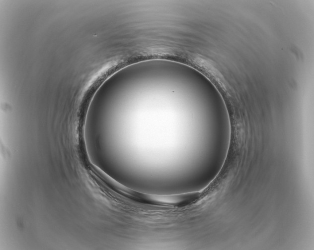 X0000091100395200708131110