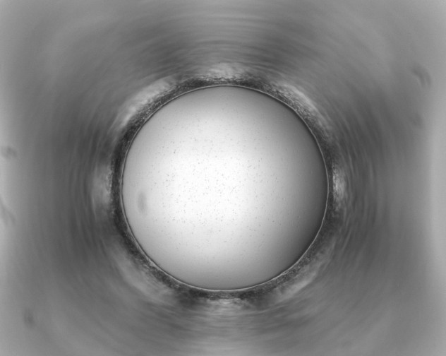 X0000091100396200708131110