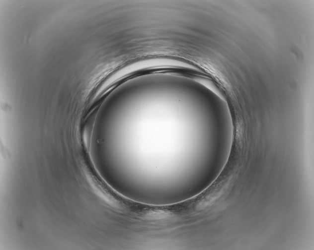 X0000091100397200708131110