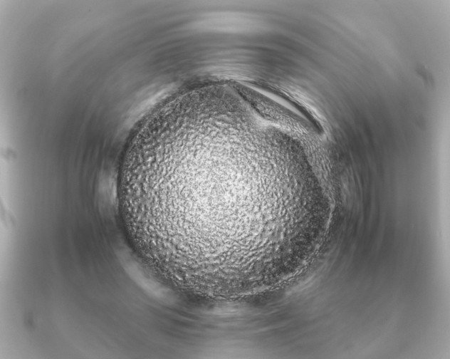 X0000091100398200708131110