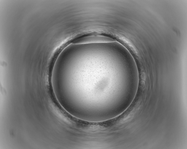 X0000091100399200708131110