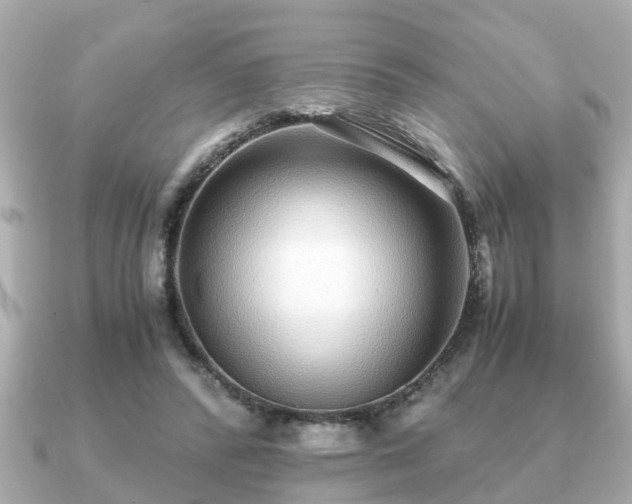 X0000091100400200708131110