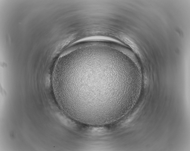 X0000091100401200708131110