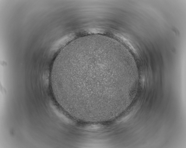 X0000091100402200708131110