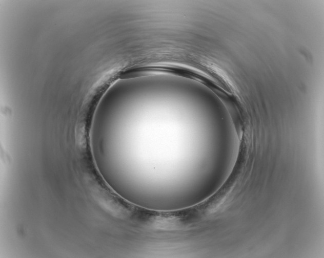 X0000091100403200708131110