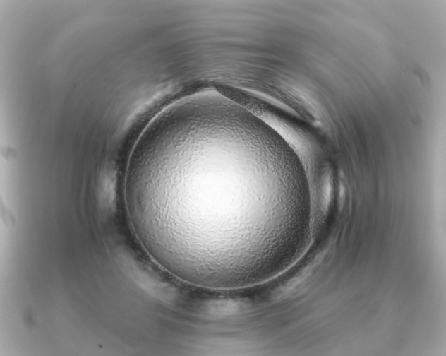 X0000091100404200708131110