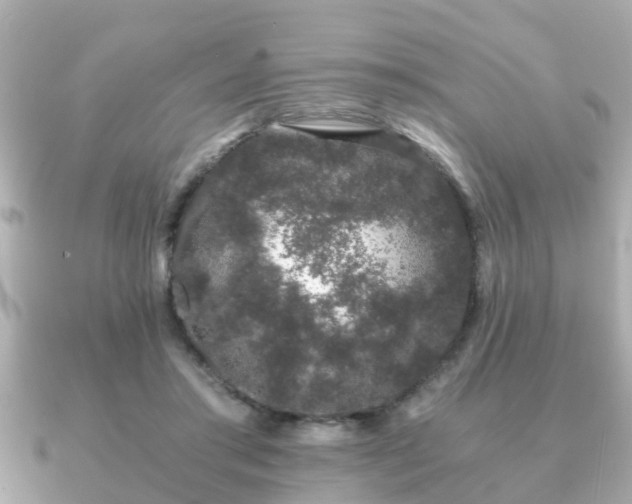 X0000091100405200708131110