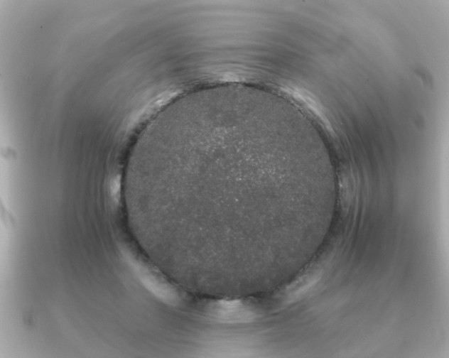 X0000091100406200708131110