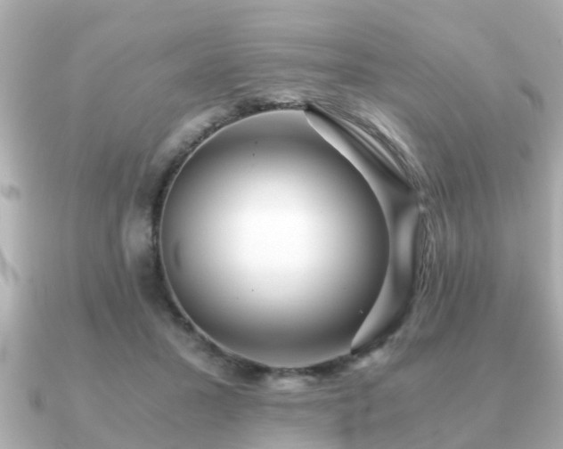 X0000091100407200708131110