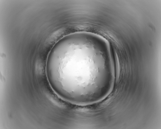 X0000091100408200708131110