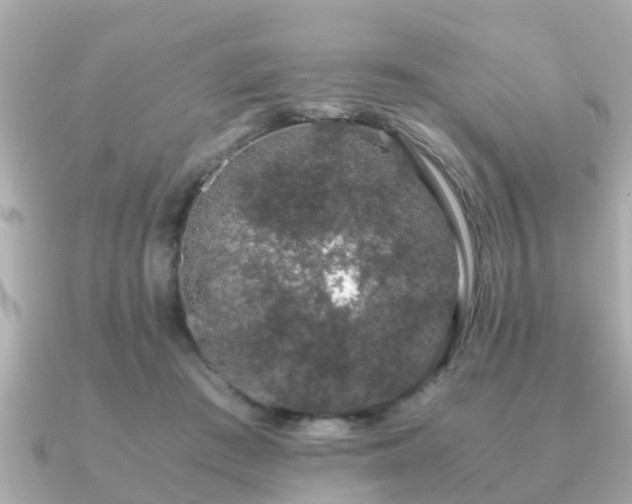 X0000091100409200708131110