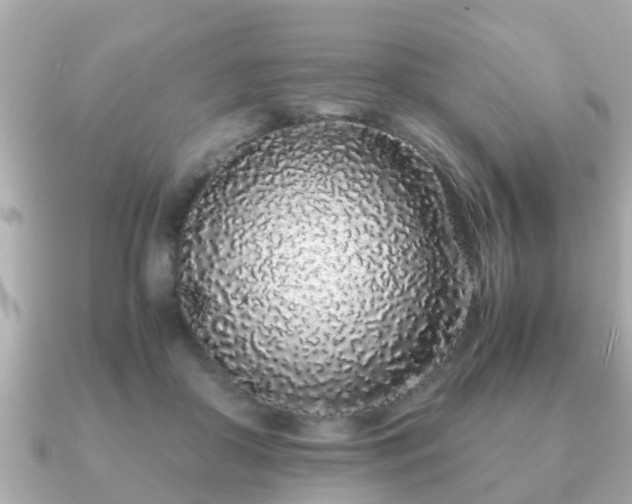 X0000091100410200708131110