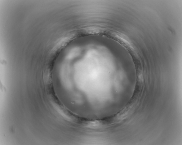 X0000091100411200708131110