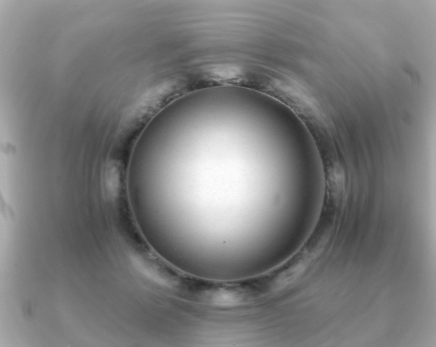 X0000091100412200708131110