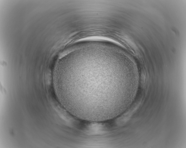 X0000091100413200708131110