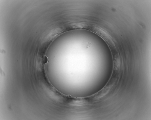 X0000091100414200708131110