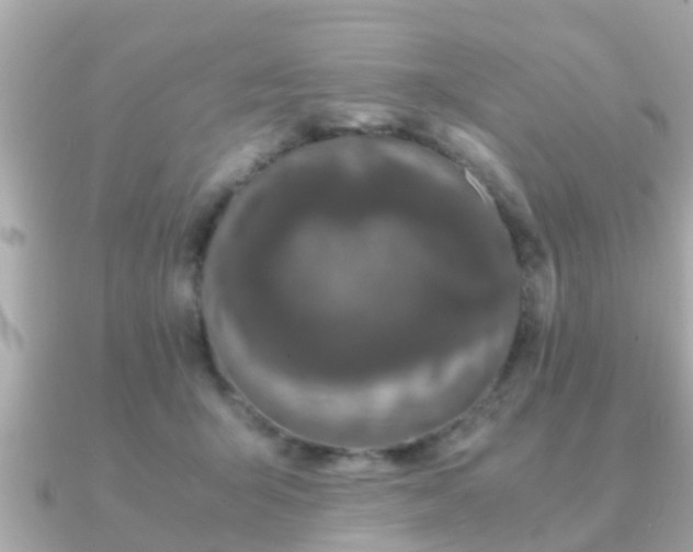 X0000091100415200708131110