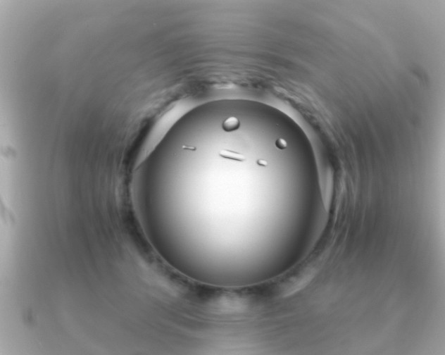 X0000091100416200708131110