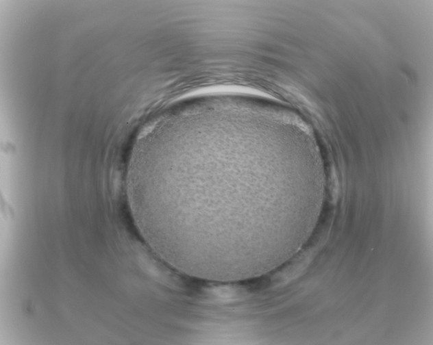 X0000091100417200708131110