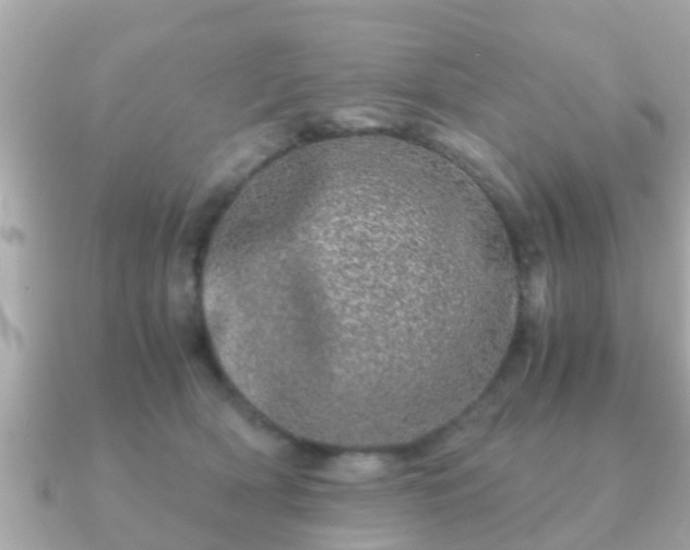 X0000091100418200708131110