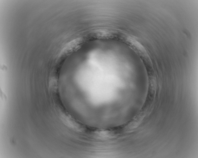 X0000091100419200708131110