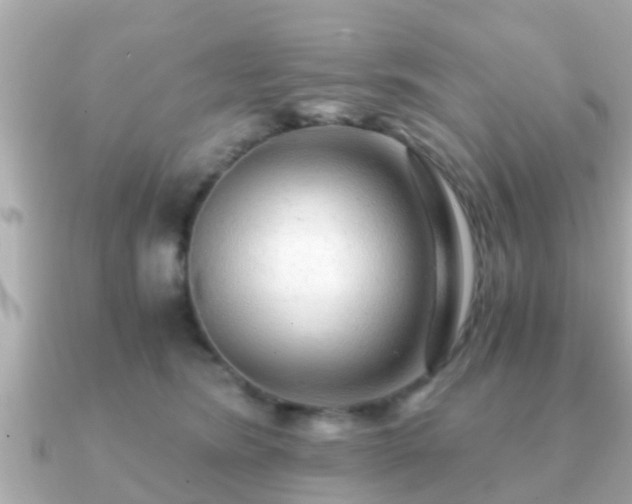 X0000091100420200708131110