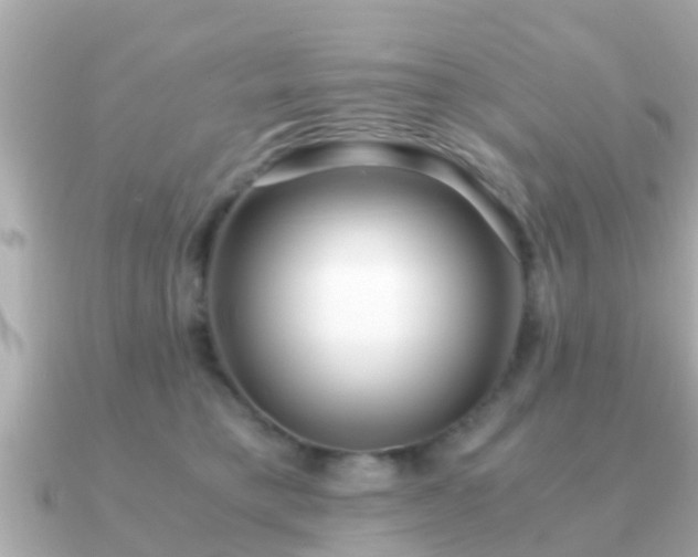 X0000091100421200708131110