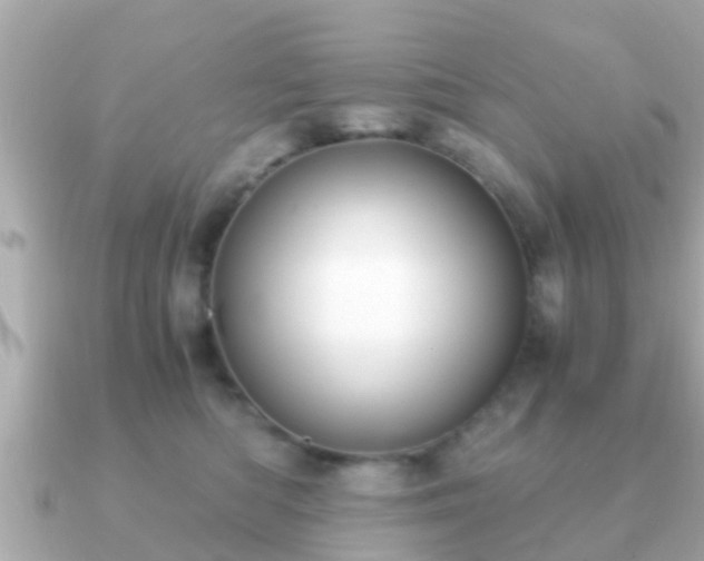 X0000091100422200708131110