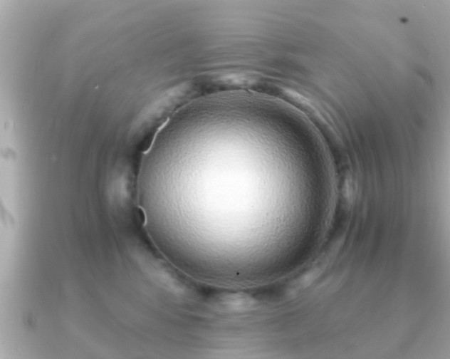 X0000091100424200708131110