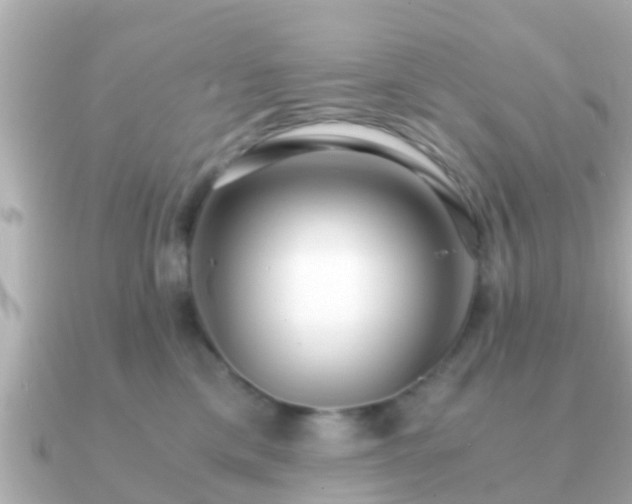 X0000091100425200708131110