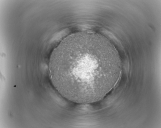 X0000091100427200708131109