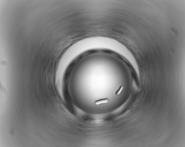 X0000091100428200708131109