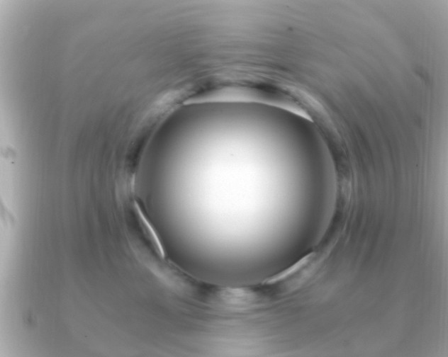 X0000091100429200708131109