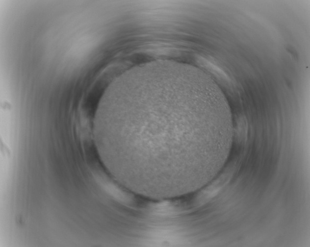 X0000091100430200708131109