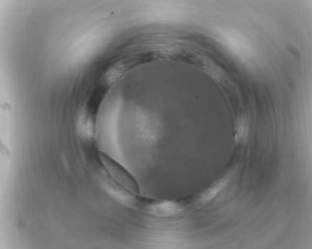 X0000091100431200708131109